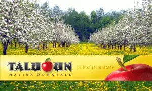 halika-talu-taluoun