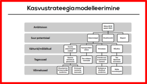 indrek saul ettevõtete strateegiline juhtimine