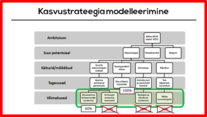 indrek saul ettevõtete strateegiline juhtimine