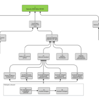 Lõik strateegia kaaridst
