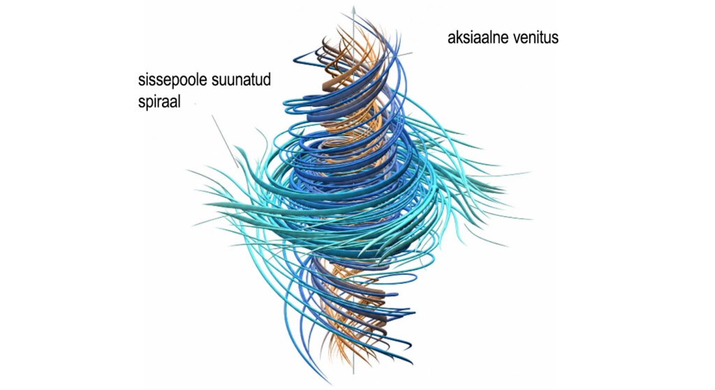 Navier-Stokes'i vedeliku voolamise matemaatiline visualiseering, mis näitab aksiaalset venitust ja sissepoole spiraliseerumist